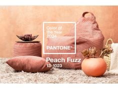 Pantone’s 2024 Colour of the Year – "Peach Fuzz"