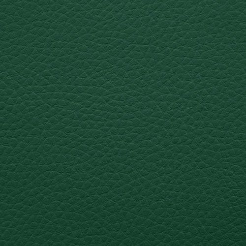 Artificial leather sample Outside Green
