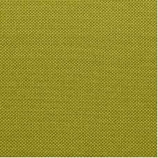 Fabric sample Profuse Lime